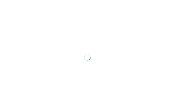CSS Spinner Animation