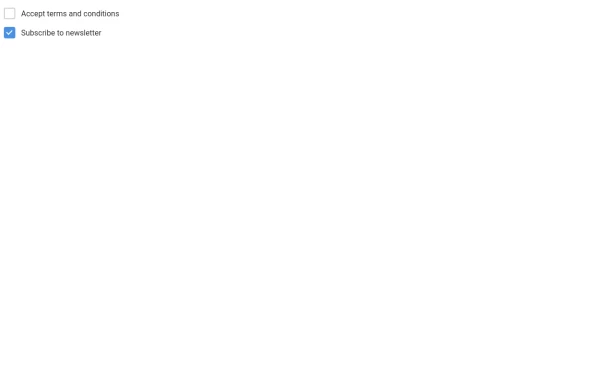 Custom Checkbox Input Example with CSS