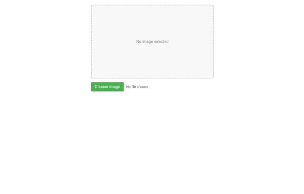 Image Upload with Live Preview