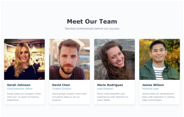 Team Showcase Grid with Hover Effects